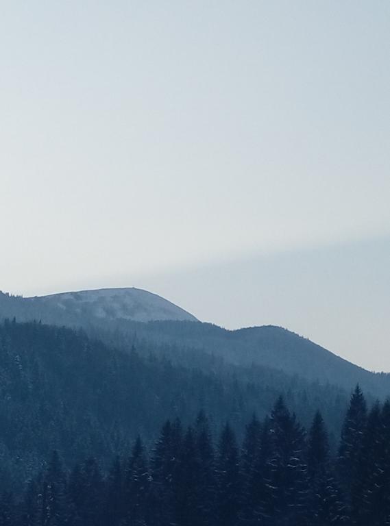 Schedryk Hotel Mikuliczyn Zewnętrze zdjęcie